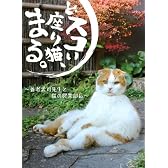 どスコい座り猫、まる。～養老孟司先生と猫の営業部長 [DVD]