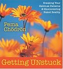 Getting Unstuck: Breaking Your Habitual Patterns & Encountering Naked Reality