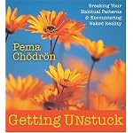 Getting Unstuck: Breaking Your Habitual Patterns & Encountering Naked Reality book cover