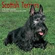 Scottish Terriers 2009 Wall Calendar