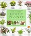A Practical Guide to Growing Healthy Houseplants