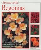 Begonias (Success with)