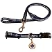 Hunter Toronto Maple Leafs Pet Set