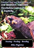 Practical Care and Maintenance of the Redfoot Tortoise Geochelone Carbonaria in Captivity