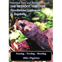 Practical Care and Maintenance of the Redfoot Tortoise Geochelone Carbonaria in Captivity