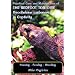 Practical Care and Maintenance of the Redfoot Tortoise Geochelone Carbonaria in Captivity