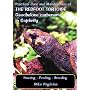Practical Care and Maintenance of the Redfoot Tortoise Geochelone Carbonaria in Captivity