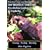 Practical Care and Maintenance of the Redfoot Tortoise Geochelone Carbonaria in Captivity