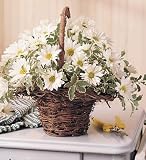 Basket Full Of Daisies