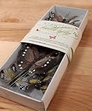 IMAGE OF Beautiful Butterfly Decorative Set - Neutral