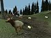 Hunting Unlimited 2