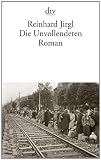 Die Unvollendeten: Roman - Reinhard Jirgl