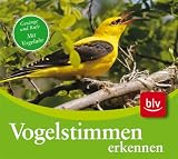 Produkt-Bild: CD Vogelstimmen erkennen. Audio-CD: Ges&auml;nge und Rufe der 75 h&auml;ufigsten Arten mit farbigem Begleitheft