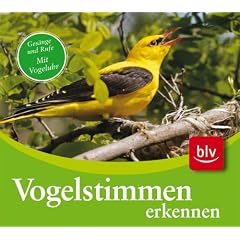 CD Vogelstimmen erkennen. Audio-CD: Ges�nge und Rufe der 75 h�ufigsten Arten mit farbigem Begleitheft