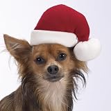 Dog Santa Hat - Pet Christmas Hat - Small