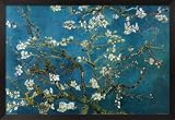 Vincent Van Gogh (Almond Branches in Bloom, San Remy) Framed Art Poster Print - 24