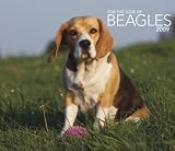 Beagles, For the Love of 2009 Deluxe Wall Calendar
