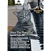 Nora The Piano Cat� DVD: Expanded Version 2009