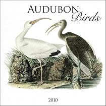 John James Audubon Birds 2010 Square Wall (Multilingual Edition)