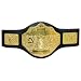 WWE World Heavy Weight Championship Belt