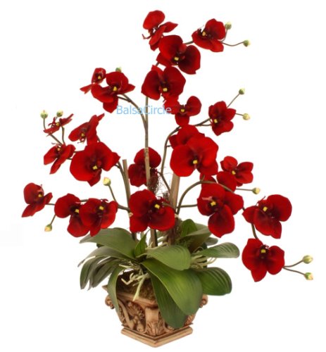 30″ Deep Red Faux Potted Phalaenopsis Orchid Arrangement