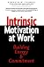 Intrinsic Motivation at Work: Building Energy and Commitment