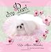 Diva Pearl Pekingese: Life After Show Biz for a Pekingese (Volume 1)