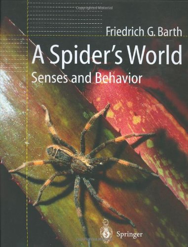 A Spider's World: Senses and Behavior On Sale