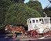 Candy Man, New Orleans Photograph - Beautiful 16"x20" Photographic Print by Carol M. Highsmith