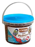 Kingfisher BFMW04 400g Tub of Mealworm