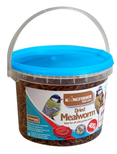 Kingfisher BFMW04 400g Tub of Mealworm