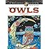 Creative Haven Owls Coloring Book (Creative Haven Coloring Books)