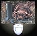 Chocolate Labrador Decorative Night Light