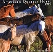 American Quarter Horse 2009 Calendar