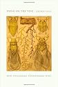 Dying on the Vine: How Phylloxera Transformed Wine