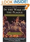 In the Wake of the Plague: The Black Death and the World It Made