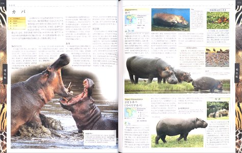 Cover image : 世界動物大図鑑―ANIMAL DKブックシリーズ