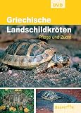 Griechische Landschildkröten - Pflege und Zucht