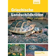 Griechische Landschildkr�ten - Pflege und Zucht