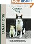 Canaan Dog (Comprehensive Owner's Guide)
