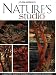Nature's Studio: A Quilter's Guide to Playing with Fabrics and Techniques by Joan Colvin