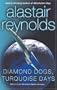 Diamond Dogs, Turquoise Days