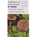 Mushrooms of North America in Color: A Field Guide Companion to Seldom-Illustrated Fungi