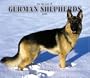 For The Love Of German Shepherds 2006 Calendar