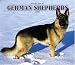 For The Love Of German Shepherds 2006 Calendar