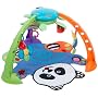 Miracles & Milestones Magical Mobile Gym
