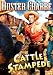 Cattle Stampede
