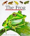 The Frog (First Discovery Series)