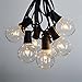 100 Foot G50 Outdoor Lighting Patio Party Globe String Lights Clear Large Bulb Set (Black)