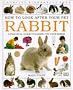 Rabbit (How to Look After Your Pet)